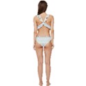 Zigzag Multi-colors White Low Cut Ruffle Edge Bikini Set View4