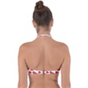 Watermelon Seamless Pattern Halter Bandeau Bikini Top View2