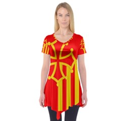 Languedoc Roussillon Flag Short Sleeve Tunic  by tony4urban