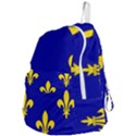 Ile De France Flag Foldable Lightweight Backpack View4
