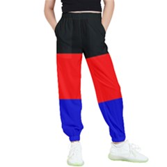 East Frisia Flag Kids  Elastic Waist Pants by tony4urban