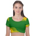 Background Pattern Texture Design Velvet Short Sleeve Crop Top  View1