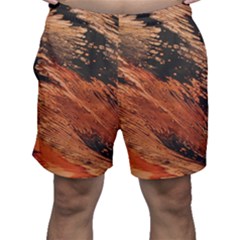 Painting Wallpaper Men s Shorts by artworkshop