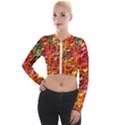 Design Art Pattern Long Sleeve Cropped Velvet Jacket View1