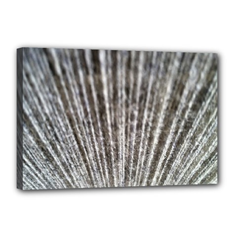 Light Cloud Canvas 18  X 12  (stretched) by artworkshop