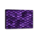 Purple Scales! Mini Canvas 6  x 4  (Stretched) View1
