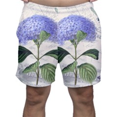 Blue Hydrangea Flower Painting Vintage Shabby Chic Dragonflies Men s Shorts by danenraven