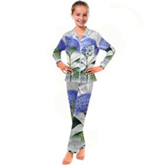 Blue Hydrangea Flower Painting Vintage Shabby Chic Dragonflies Kid s Satin Long Sleeve Pajamas Set by danenraven
