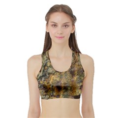 Rusty Orange Abstract Surface Sports Bra With Border by dflcprintsclothing