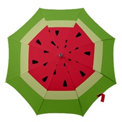 Watermelon Fruit Food Healthy Vitamins Nutrition Hook Handle Umbrellas (small) by Wegoenart