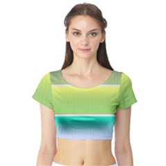 Pattern-banner-background-dot-set Short Sleeve Crop Top by Semog4