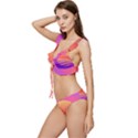 Sunset Summer Time Low Cut Ruffle Edge Bikini Set View2