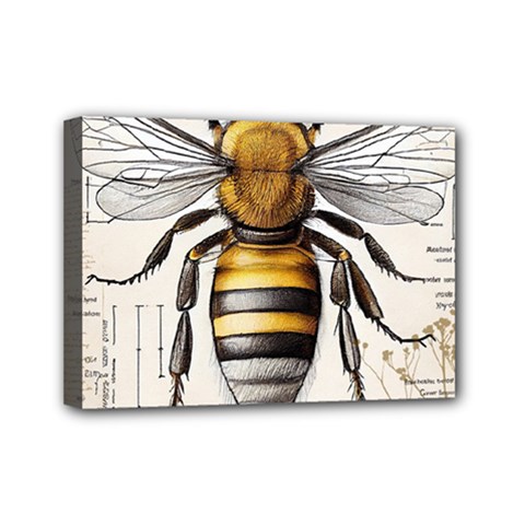 Bee Beekeeping Mini Canvas 7  X 5  (stretched) by Simbadda
