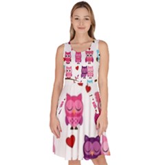 Owl Pattern Knee Length Skater Dress With Pockets by Salman4z