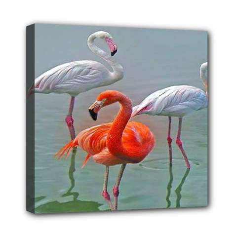 Birds Mini Canvas 8  X 8  (stretched) by Sparkle