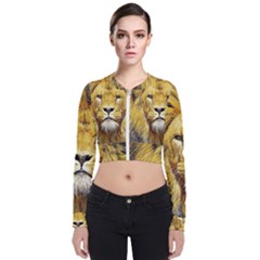 Lion Lioness Wildlife Hunter Long Sleeve Zip Up Bomber Jacket by Mog4mog4