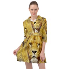 Lion Lioness Wildlife Hunter Mini Skater Shirt Dress by Mog4mog4
