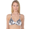 Tornado-twister-angry-comic Reversible Tri Bikini Top View3