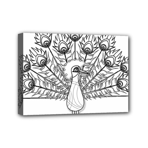 Peacock-plumage-display-bird Mini Canvas 7  X 5  (stretched) by 99art