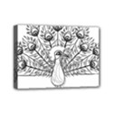 Peacock-plumage-display-bird Mini Canvas 7  x 5  (Stretched) View1
