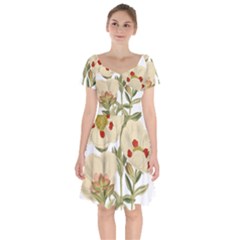 Nature-flower-leaf-plant-isolated Short Sleeve Bardot Dress by 99art