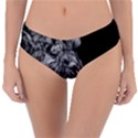 Angry Male Lion Roar Reversible Classic Bikini Bottoms View3