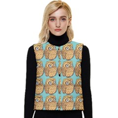 Owl Bird Pattern Women s Short Button Up Puffer Vest by Vaneshop