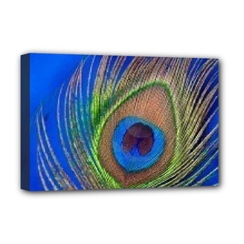 Blue Peacock Feather Deluxe Canvas 18  X 12  (stretched) by Amaryn4rt