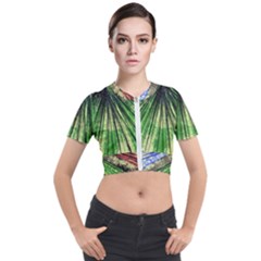 Acrylic Abstract Art Design  Short Sleeve Cropped Jacket by Rbudhiya