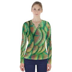 Beautiful-peacock V-neck Long Sleeve Top by uniart180623