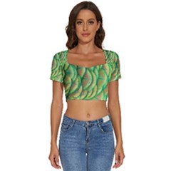 Beautiful-peacock Short Sleeve Square Neckline Crop Top  by uniart180623