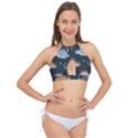 Dino Art Pattern Design Wallpaper Background Cross Front Halter Bikini Top View1