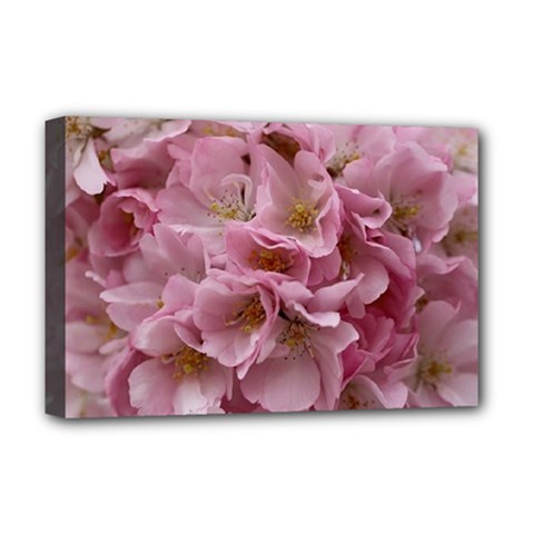Cherry-blossoms Deluxe Canvas 18  X 12  (stretched) by Excel