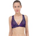 Feather Pattern Texture Form Classic Banded Bikini Top View1