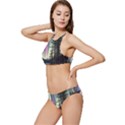 Northern Lights Aurora Borealis Banded Triangle Bikini Set View2
