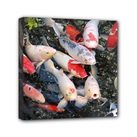 Koi Fish Nature Mini Canvas 6  X 6  (stretched) by Ndabl3x