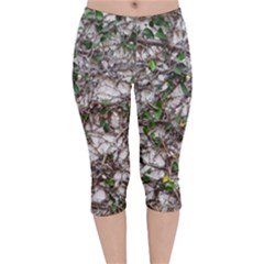 Climbing Plant At Outdoor Wall Velvet Capri Leggings  by dflcprintsclothing