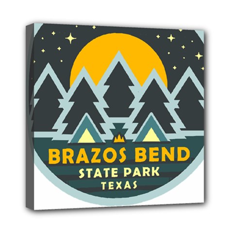 Brazos Bend State Park T- Shirt Brazos Bend State Park Night Sky T- Shirt Mini Canvas 8  X 8  (stretched) by JamesGoode