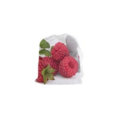 Fruit-healthy-vitamin-vegan Drawstring Pouch (xs) by Ket1n9
