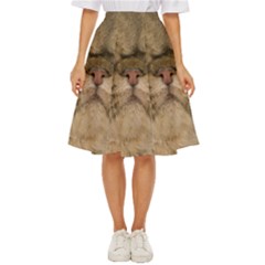 Cute Persian Catface In Closeup Classic Short Skirt by Amaryn4rt