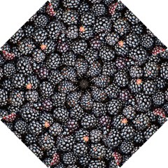 Blackberries-background-black-dark Hook Handle Umbrellas (small) by Amaryn4rt