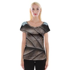 Leaf Veins Nerves Macro Closeup Cap Sleeve Top by Amaryn4rt