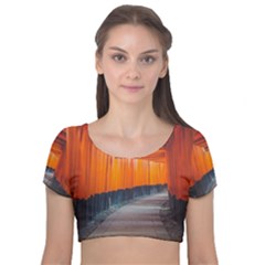 Architecture Art Bright Color Velvet Short Sleeve Crop Top  by Amaryn4rt