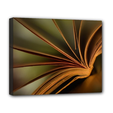 Book Screen Climate Mood Range Deluxe Canvas 20  X 16  (stretched) by Amaryn4rt