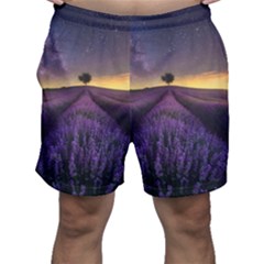 Bed Of Purple Petaled Flowers Photography Landscape Nature Men s Shorts by Sarkoni