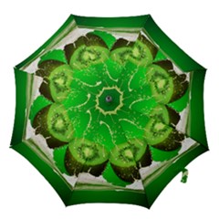 Kiwi Fruit Vitamins Healthy Cut Hook Handle Umbrellas (small) by Amaryn4rt