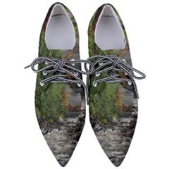 Landscape Summer Fall Colors Mill Pointed Oxford Shoes by Amaryn4rt