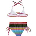 Horizontal Line Colorful Kids  Classic Bikini Set View2