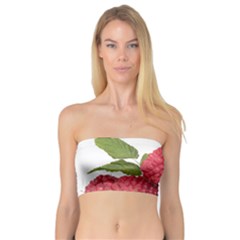 Fruit Healthy Vitamin Vegan Bandeau Top by Ket1n9
