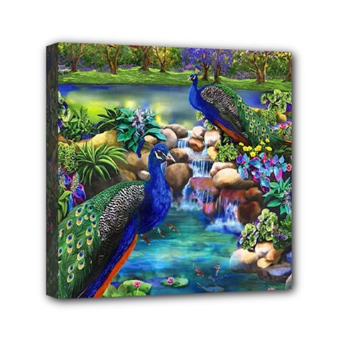 Peacocks In Garden Mini Canvas 6  X 6  (stretched) by Ndabl3x